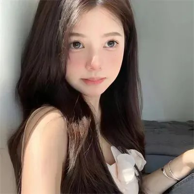鲨海