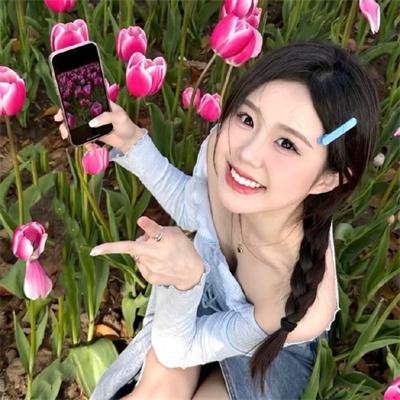 甄嬛传